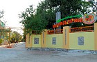 Мандарин ДОЛ
